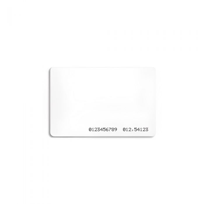 125kHz RFID Card-Not Reprogrammable