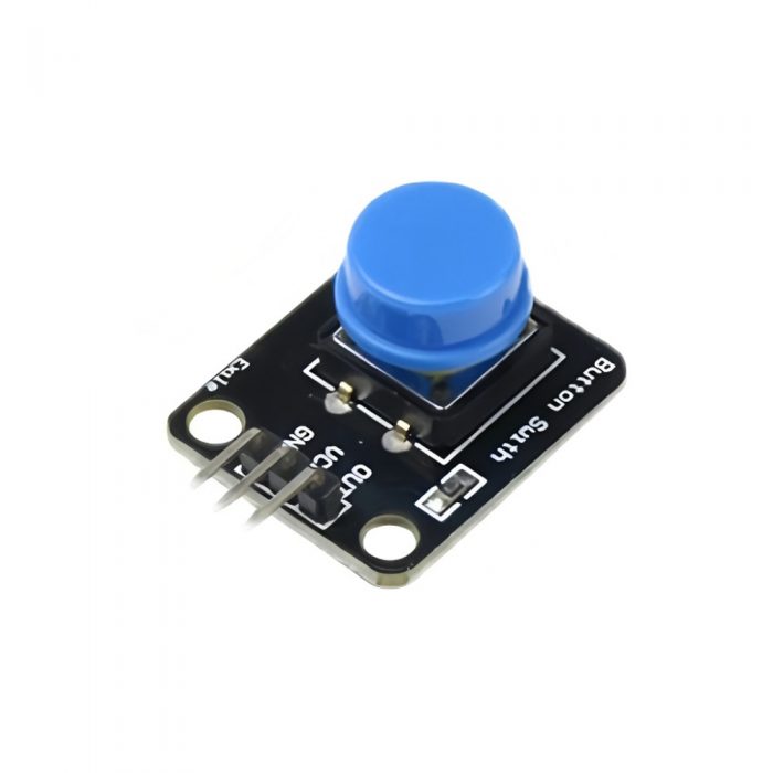Switch Module with Blue Cap