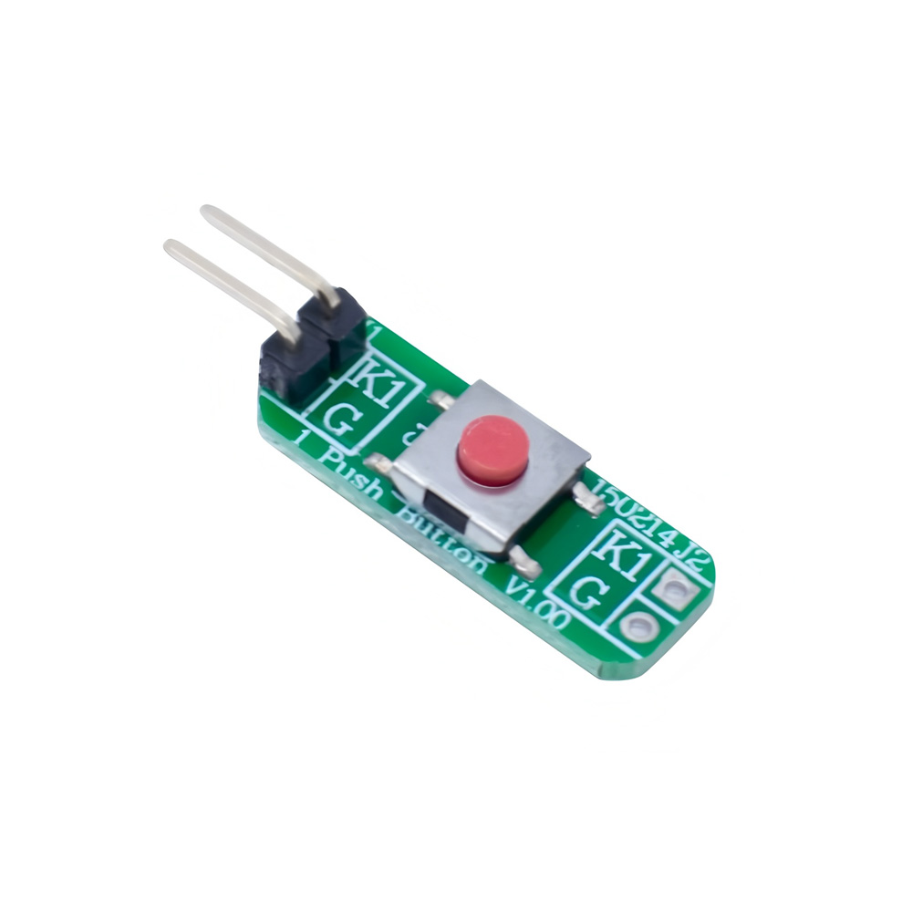 1 Push Button Keypad Module